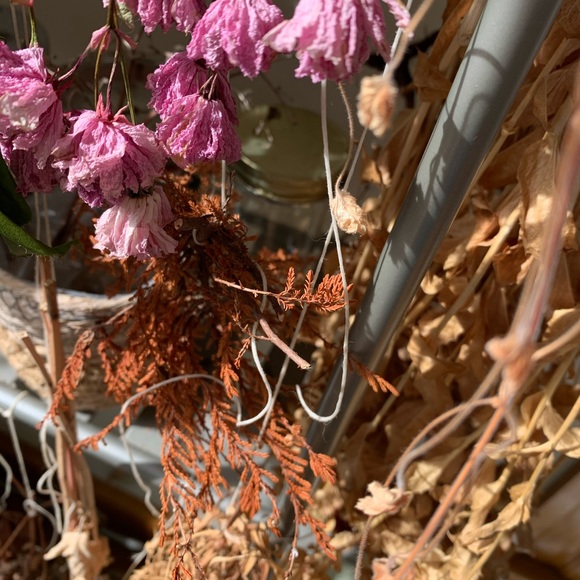 Meet your Posher, Anna - Picture 13 of 14